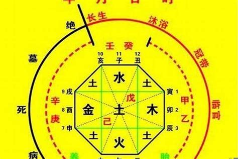 十天干查詢|生辰八字算命、五行喜用神查询（免费测算）